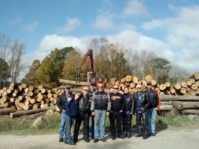 Hull_Forestry_001.jpg