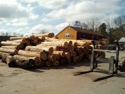 Hull_Forestry_006.jpg